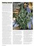 Page: - 32 | High Times