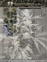 Page: - 33 | High Times