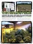 Page: - 36 | High Times