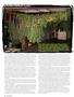 Page: - 40 | High Times