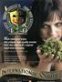 Page: - 7 | High Times