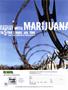 Page: - 82 | High Times