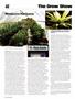 Page: - 94 | High Times