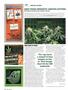 Page: - 100 | High Times