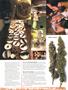 Page: - 45 | High Times