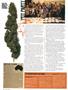 Page: - 48 | High Times