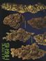 Page: - 56 | High Times