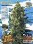 Page: - 65 | High Times