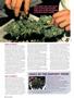 Page: - 68 | High Times