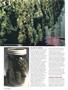 Page: - 70 | High Times