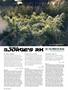 Page: - 78 | High Times