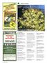 Page: - 84 | High Times