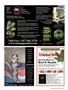Page: - 39 | High Times