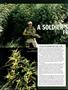 Page: - 62 | High Times