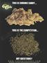 Page: - 9 | High Times