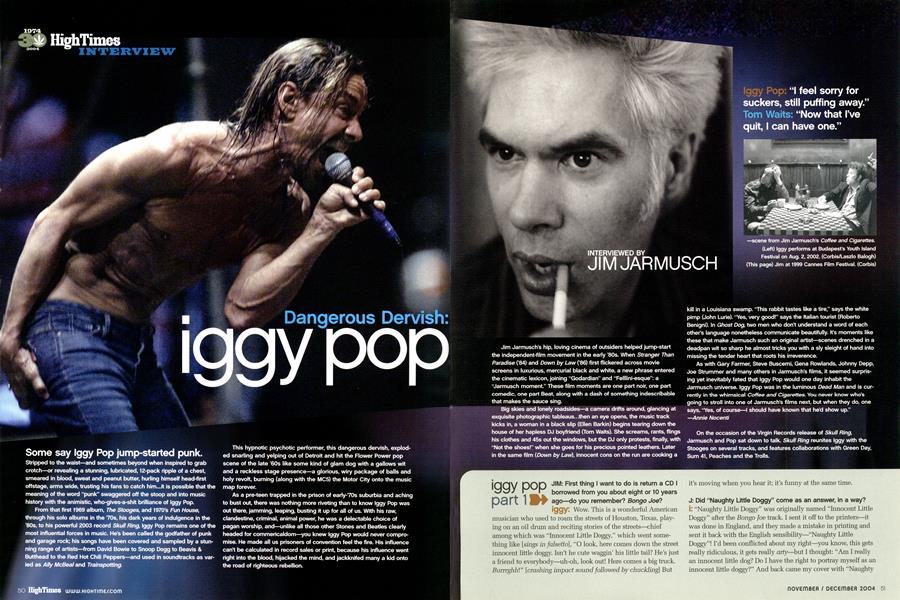 Dangerous Dervish: iggy pop