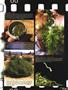 Page: - 13 | High Times
