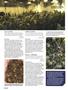 Page: - 66 | High Times