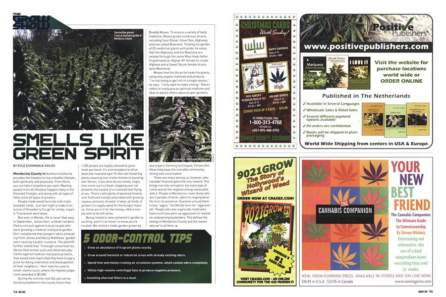 SMELLS LIKE GREEN SPIRIT