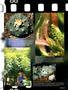 Page: - 13 | High Times