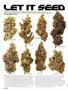 Page: - 38 | High Times