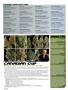 Page: - 40 | High Times