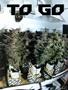 Page: - 43 | High Times