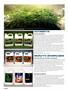 Page: - 52 | High Times