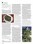 Page: - 64 | High Times