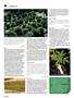Page: - 66 | High Times