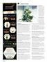 Page: - 68 | High Times