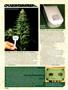 Page: - 72 | High Times