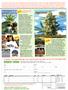 Page: - 91 | High Times