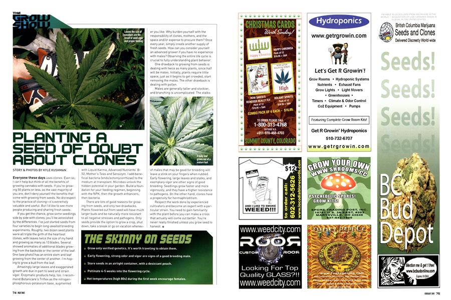 PLANTING A SEED OF DOUBT ABOUT CLONES