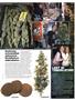 Page: - 37 | High Times