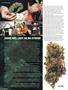 Page: - 40 | High Times