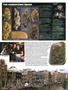 Page: - 42 | High Times