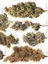 Page: - 49 | High Times