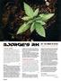 Page: - 62 | High Times