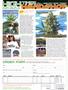 Page: - 90 | High Times