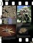 Page: - 13 | High Times