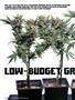 Page: - 34 | High Times