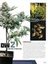 Page: - 35 | High Times