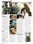 Page: - 38 | High Times