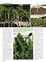 Page: - 46 | High Times