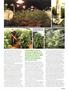 Page: - 51 | High Times