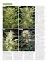 Page: - 52 | High Times