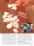 Page: - 57 | High Times