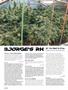 Page: - 62 | High Times