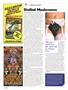 Page: - 84 | High Times